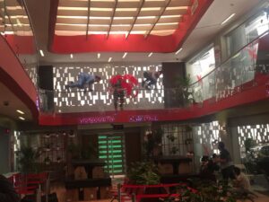 Stunt Coordinator Egypt